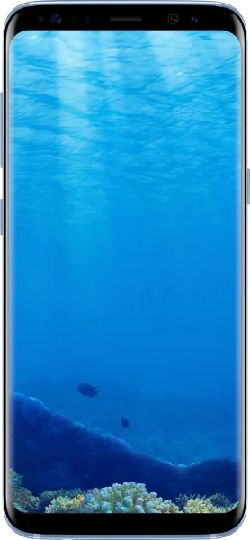 Samsung Galaxy S8 Tamiri